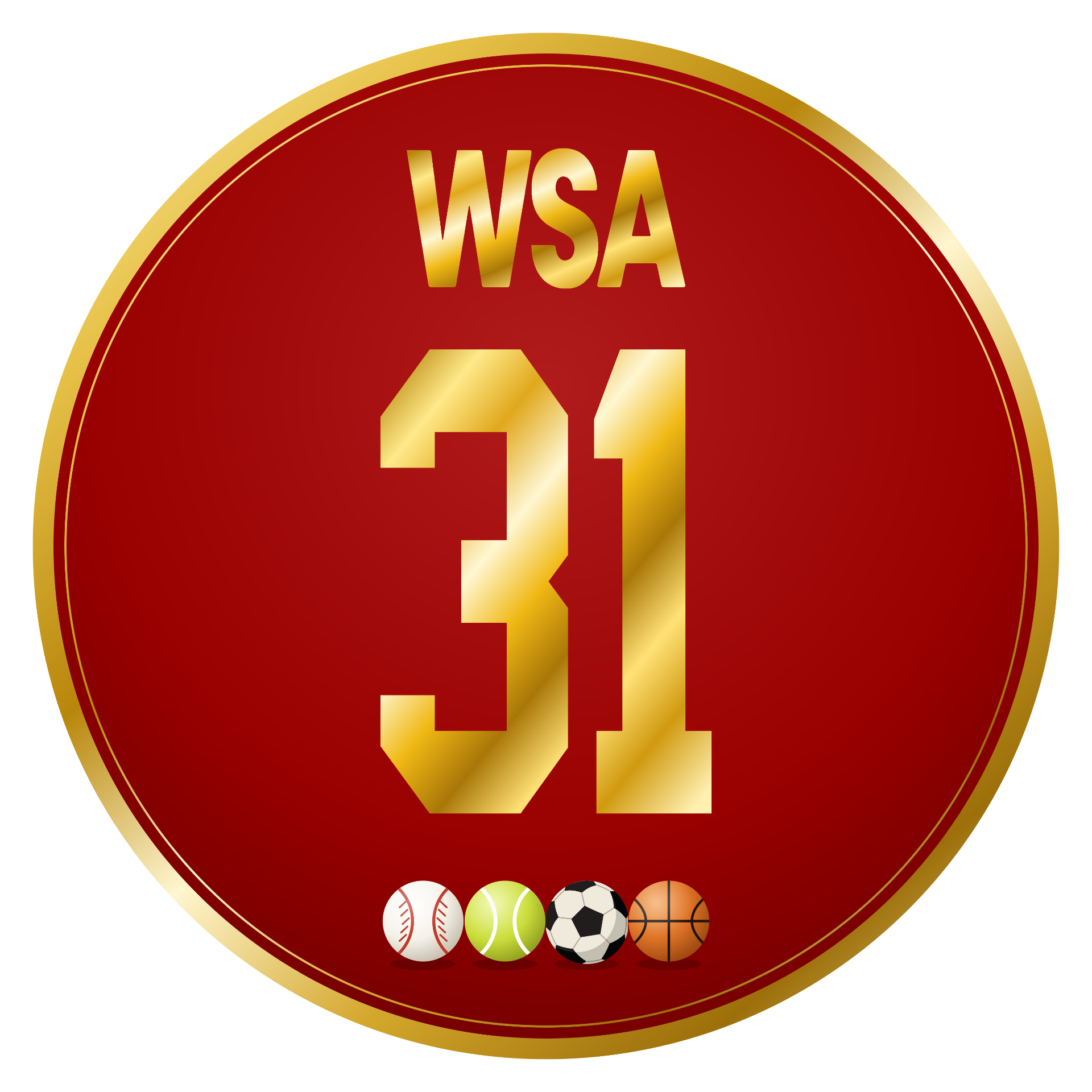 WSA 31st Anniversary seal